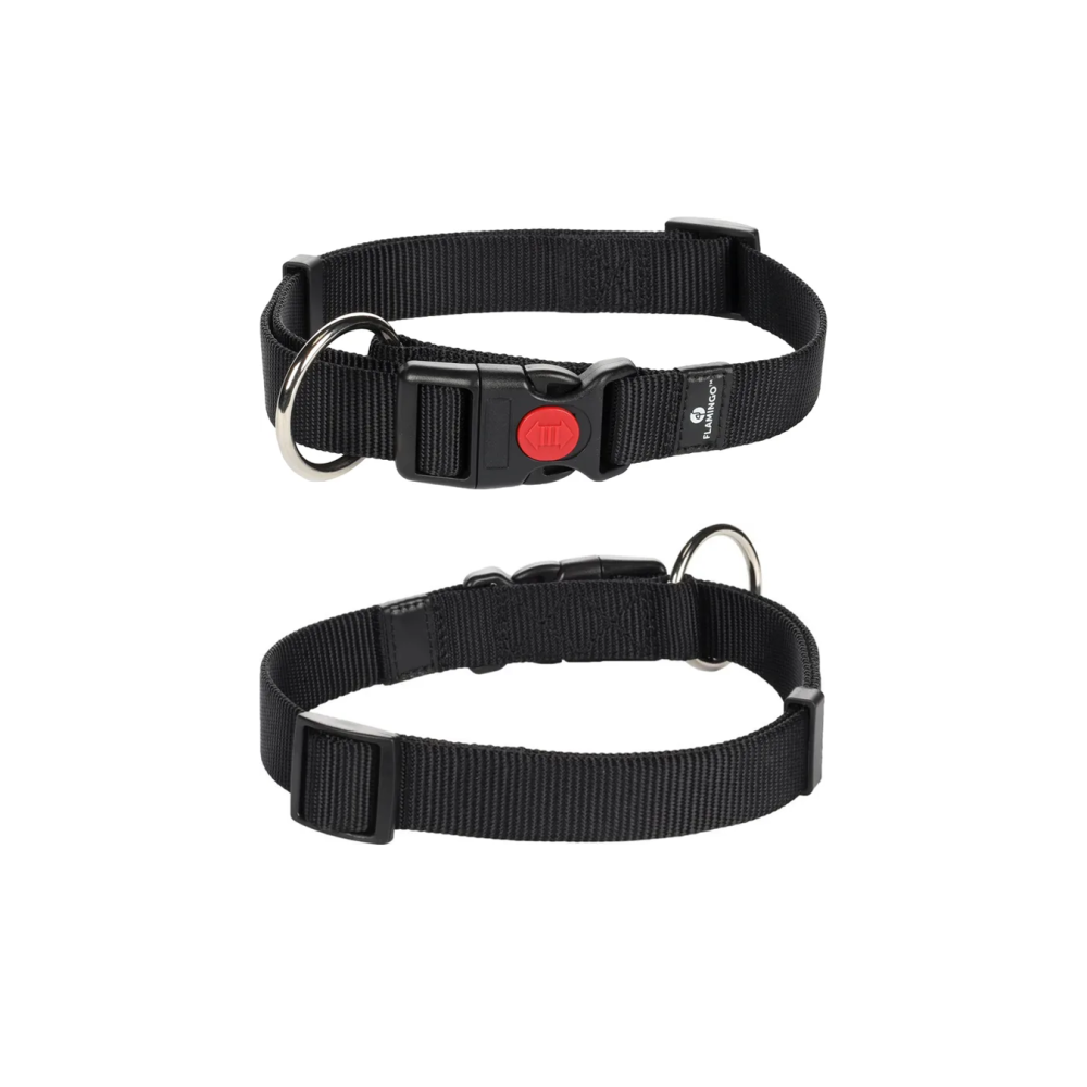 CANE COLLARE ZIGGI NERO L 45-65 CM