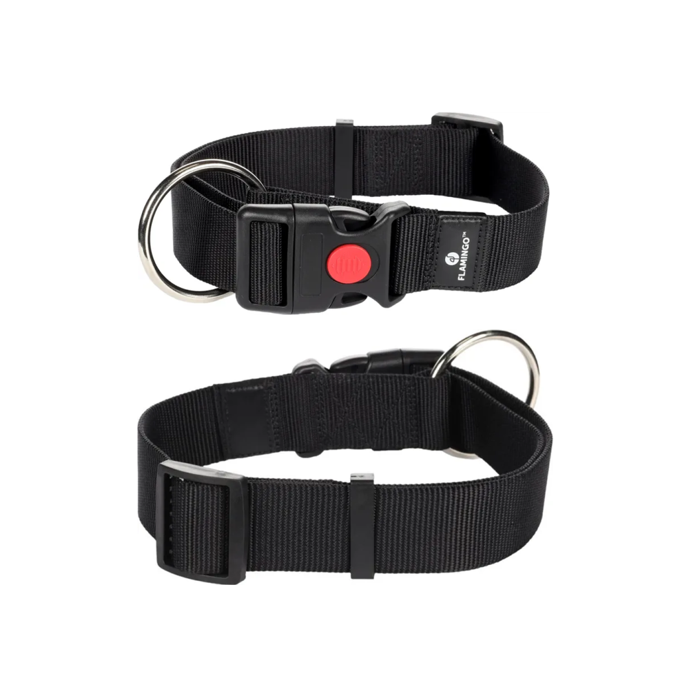 CANE COLLARE ZIGGI NERO XL 55-75CM