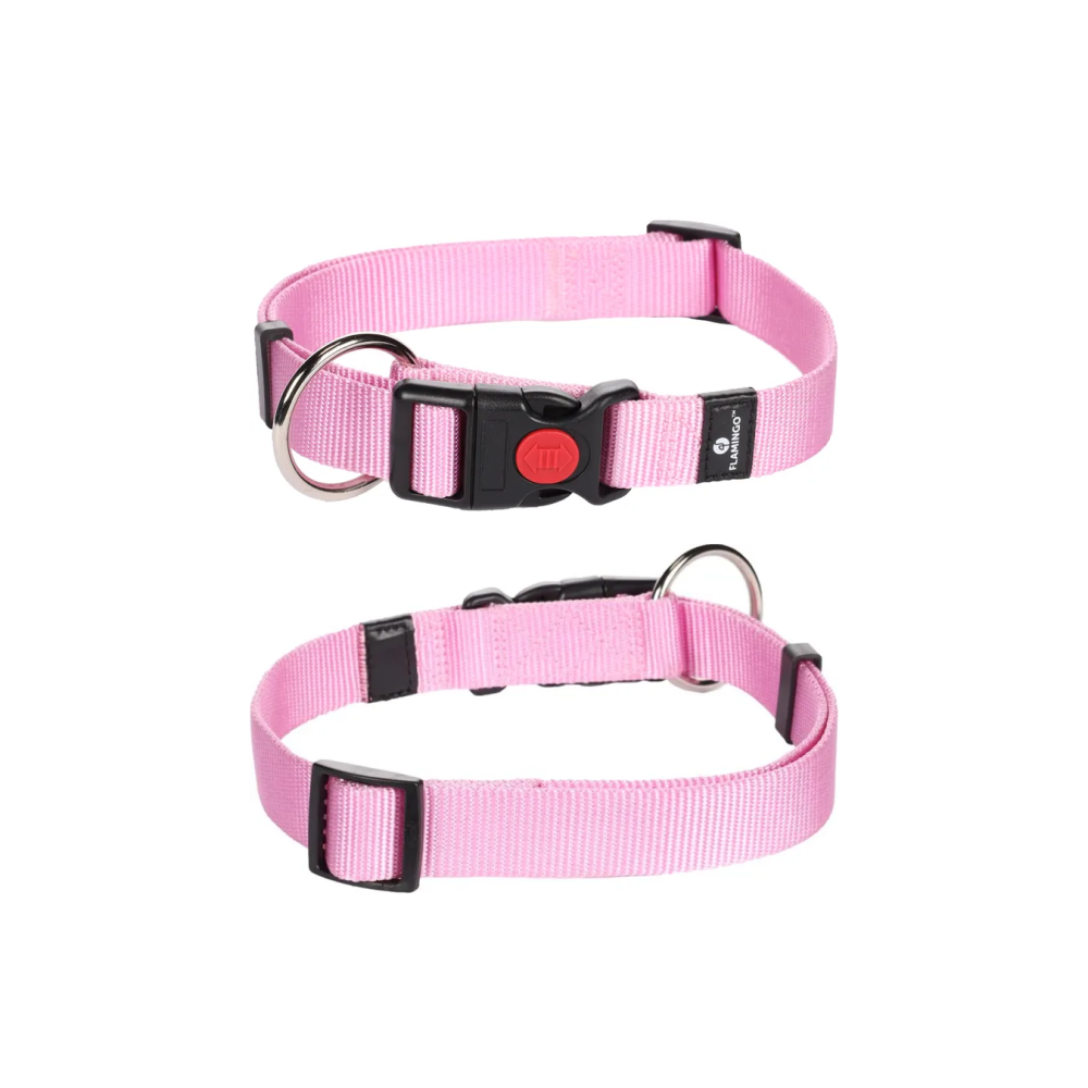 CANE COLLARE ZIGGI ROSA L 45-65 CM