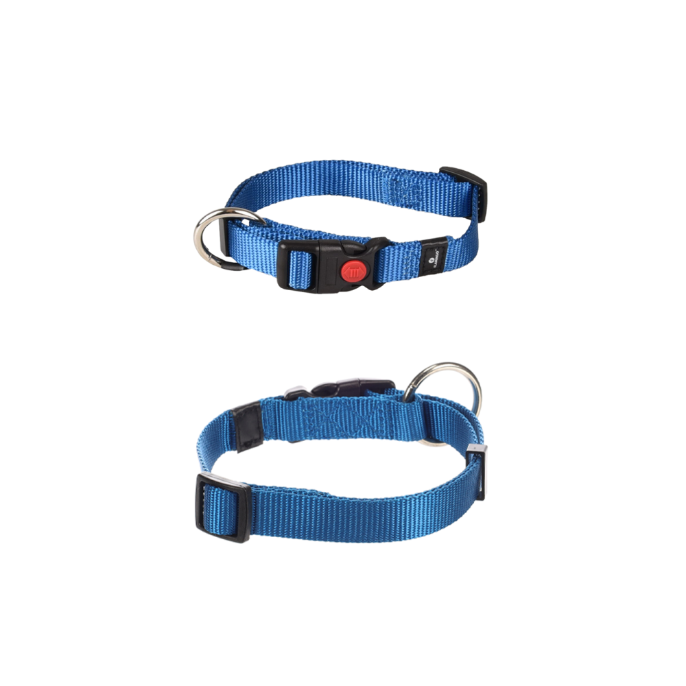 CANE COLLARE ZIGGI AZZURRO S 30-45
