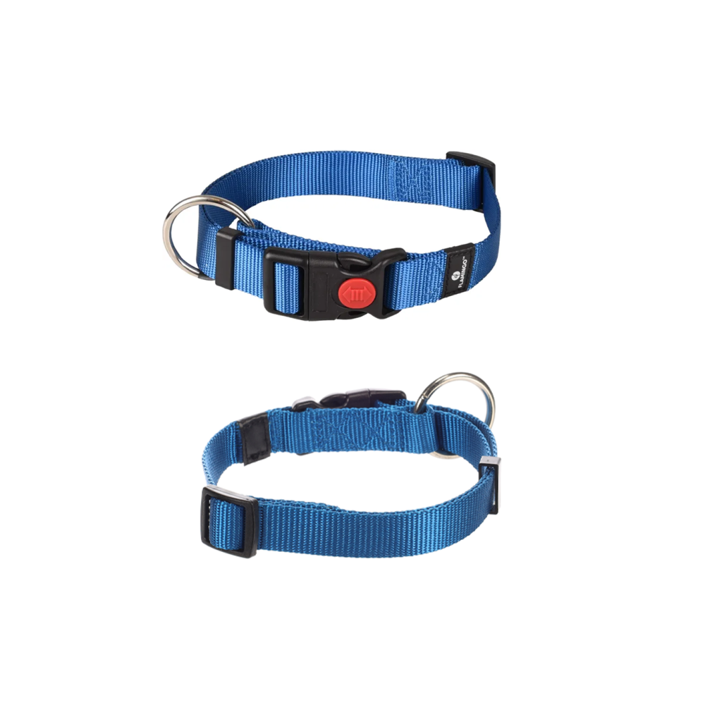 CANE COLLARE ZIGGI AZZURRO L 45-65CM