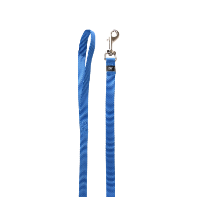 CANE GUINZAGLIO ZIGGI AZZURRO 1.3M 15MM
