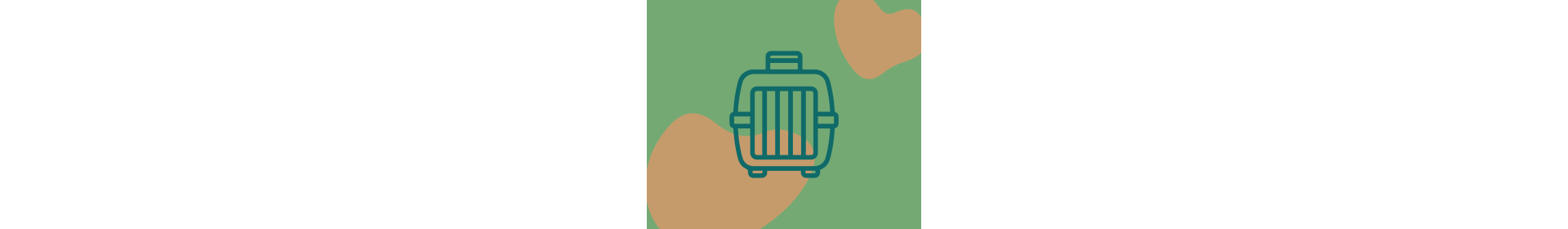 Trasportini